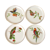 Vintage Fürstenberg Porcelain Bird Coasters Set of 4