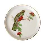 Vintage Fürstenberg Porcelain Bird Coasters Set of 4
