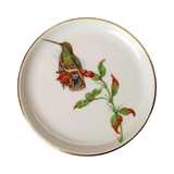 Vintage Fürstenberg Porcelain Bird Coasters Set of 4