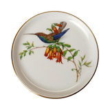 Vintage Fürstenberg Porcelain Bird Coasters Set of 4