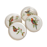 Vintage Fürstenberg Porcelain Bird Coasters Set of 4