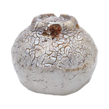 Oni Hagi Chawan by Shibuya Deishi