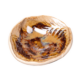 Set of 4 Takatori Tenmitsu Shell-form Condiment Small Plates