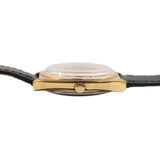 Vintage 1970s Seamaster Automatic