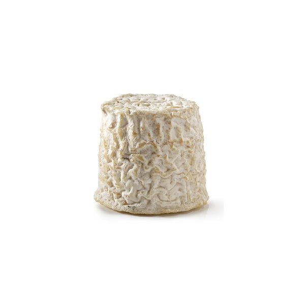 CHABICHOU DU POITOU AOP - CHÈVRE FERMIER