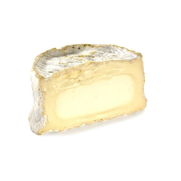 CHAOURCE AOP