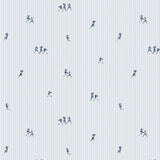 Narciso Cotton From Carnet