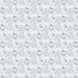 Narciso Cotton From Carnet