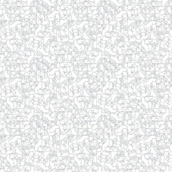 Narciso Cotton From Carnet