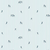 Narciso Cotton From Carnet